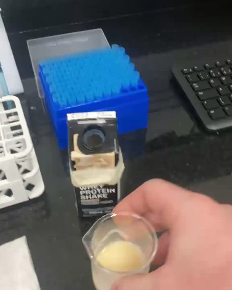 Amostra líquida para análise de proteína por Dumas